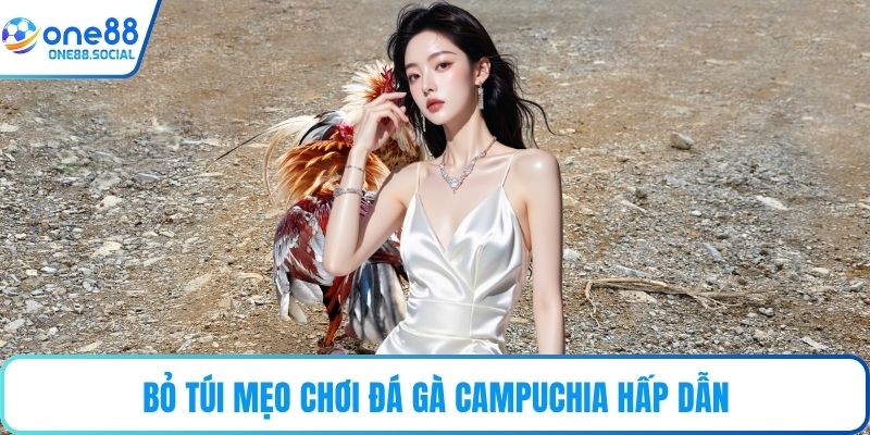 Bỏ túi mẹo chơi đá gà Campuchia hấp dẫn