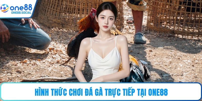 Hình thức chơi đá gà trực tiếp tại ONE88
