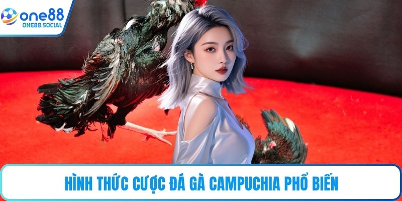 Hình thức cược đá gà Campuchia phổ biến